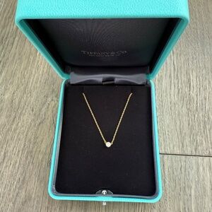 Tiffany and Co Diamond By The Yard bezel pendant 18k, 0.14 ct wt, 16 inch cable